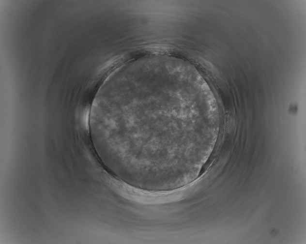 X0000096640047200803041136