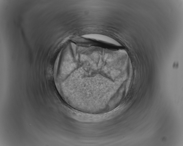 X0000096640048200803041136