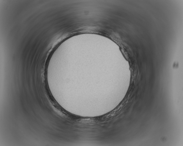 X0000096640050200803041136