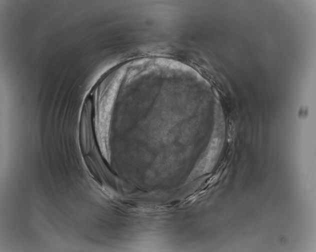 X0000096640052200803041136