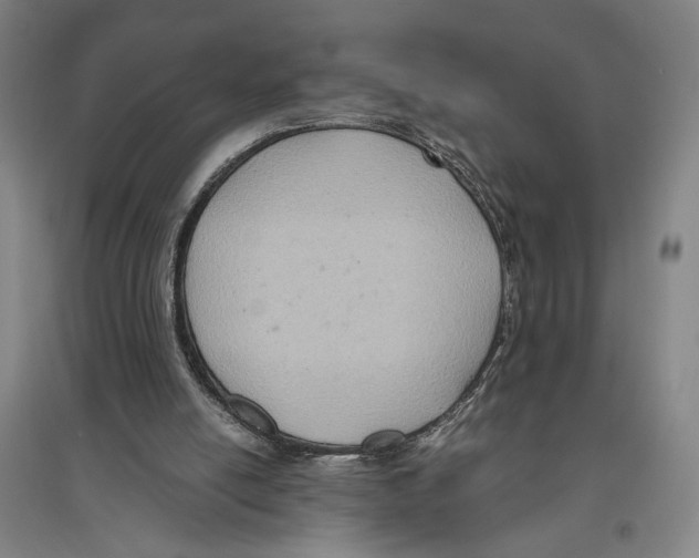 X0000096640054200803041136