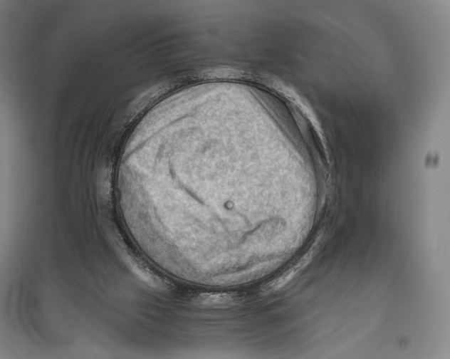 X0000096640057200803041136