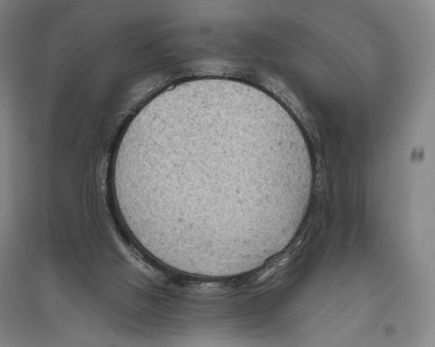 X0000096640058200803041136