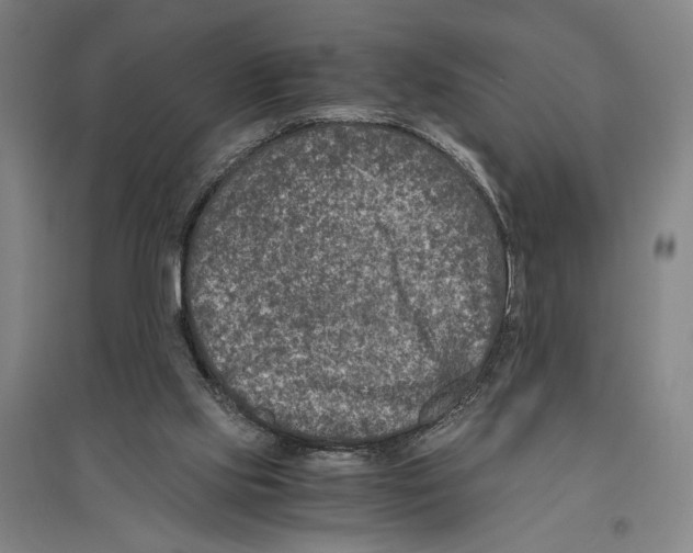 X0000096640061200803041136