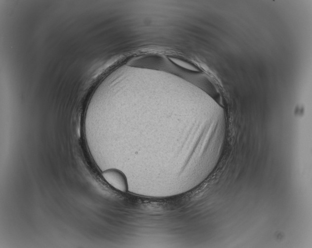 X0000096640062200803041136