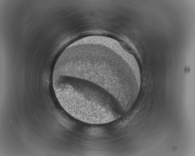 X0000096640063200803041136