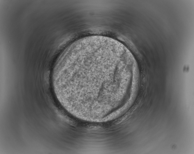 X0000096640066200803041136