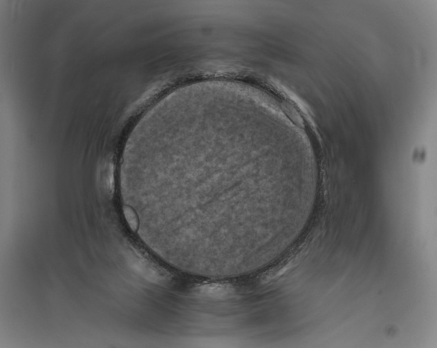 X0000096640067200803041136