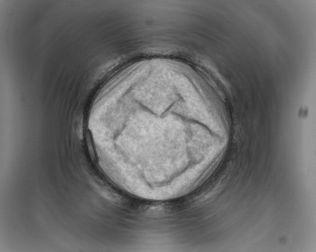 X0000096640068200803041136