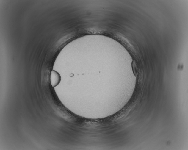 X0000096640071200803041136