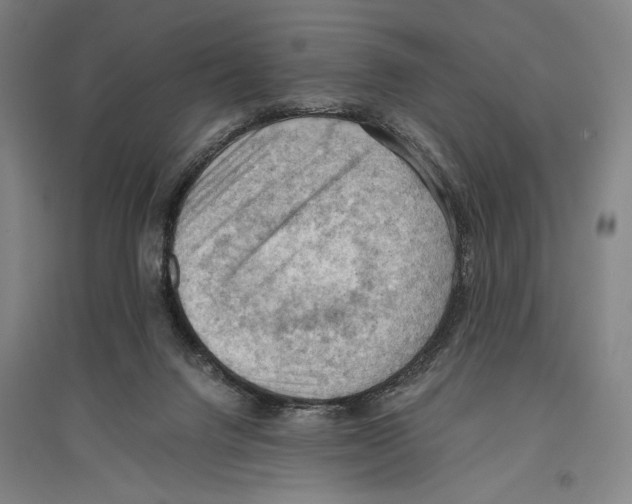 X0000096640072200803041136