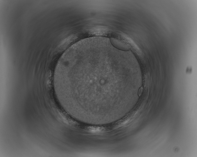 X0000096640073200803041136