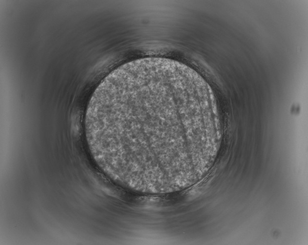 X0000096640074200803041136