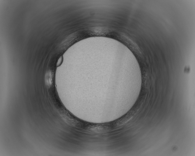 X0000096640075200803041136