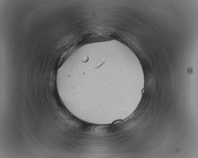 X0000096640078200803041136