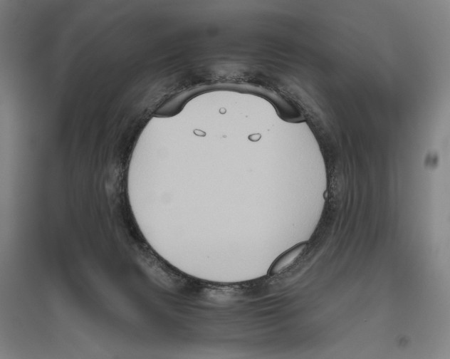 X0000096640079200803041136