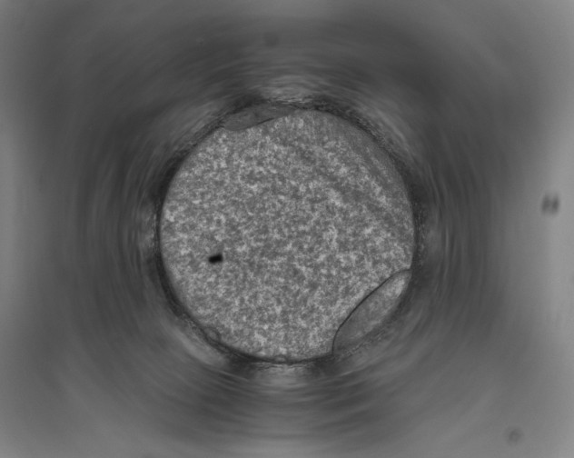 X0000096640081200803041136