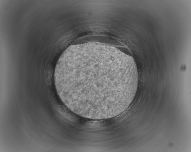 X0000096640082200803041136