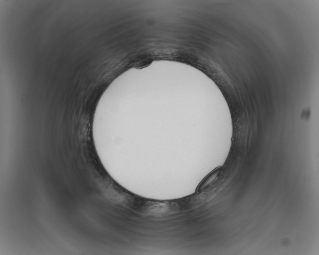 X0000096640083200803041136