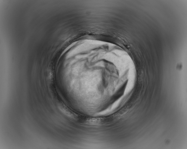 X0000096640084200803041136