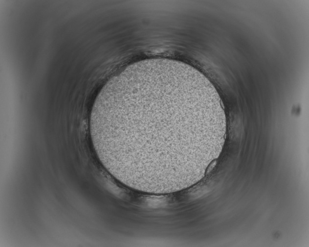 X0000096640085200803041136