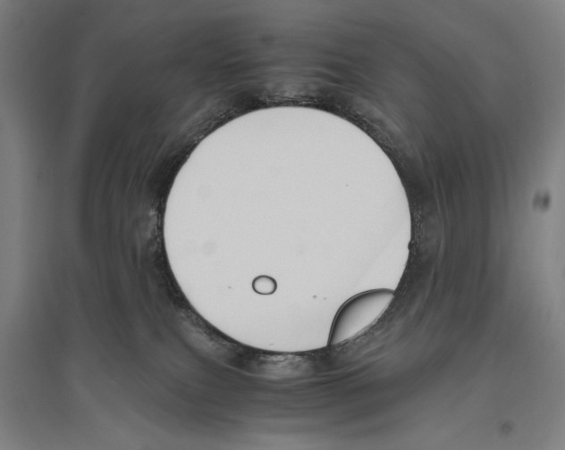 X0000096640087200803041136