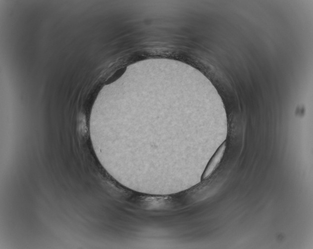 X0000096640089200803041136