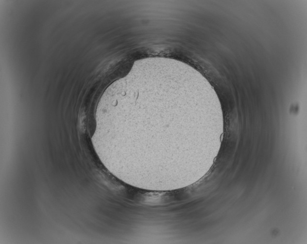 X0000096640090200803041136