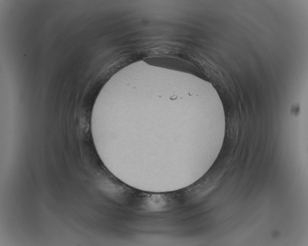 X0000096640091200803041136