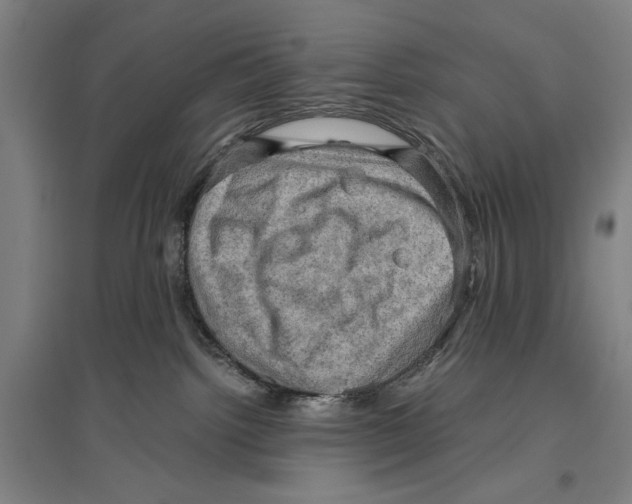 X0000096640092200803041136