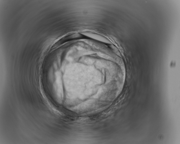 X0000096640097200803041135