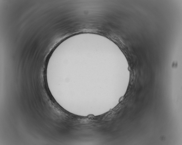 X0000096640098200803041135