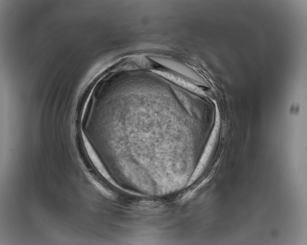 X0000096640101200803041135