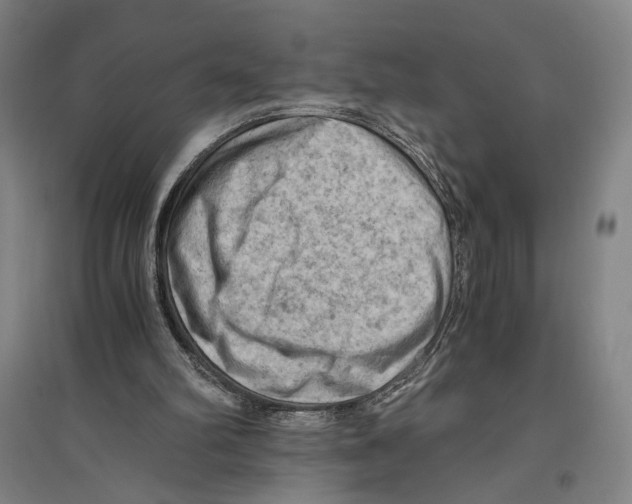 X0000096640102200803041135