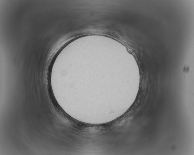 X0000096640103200803041135