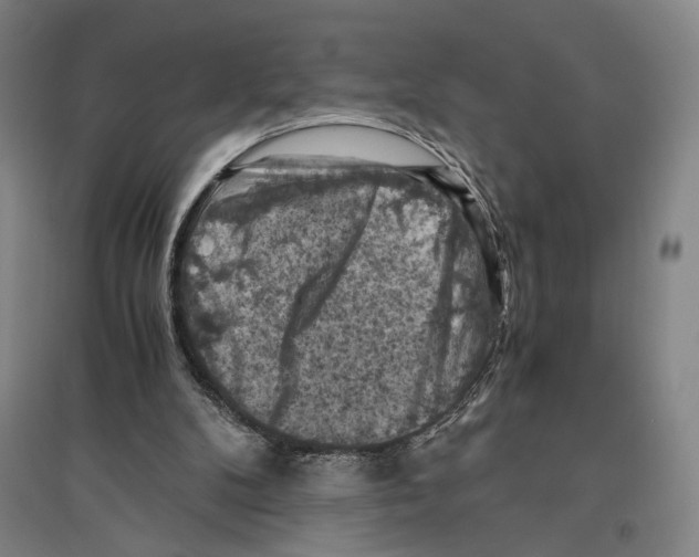 X0000096640104200803041135