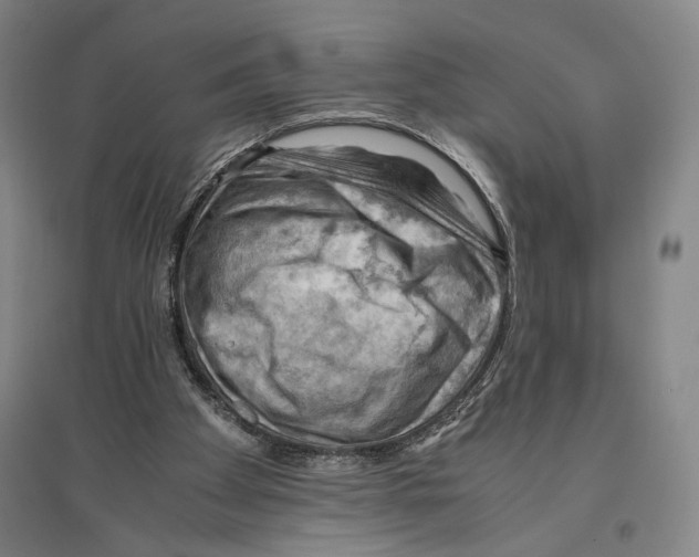 X0000096640105200803041135