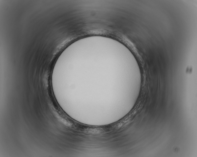 X0000096640106200803041135