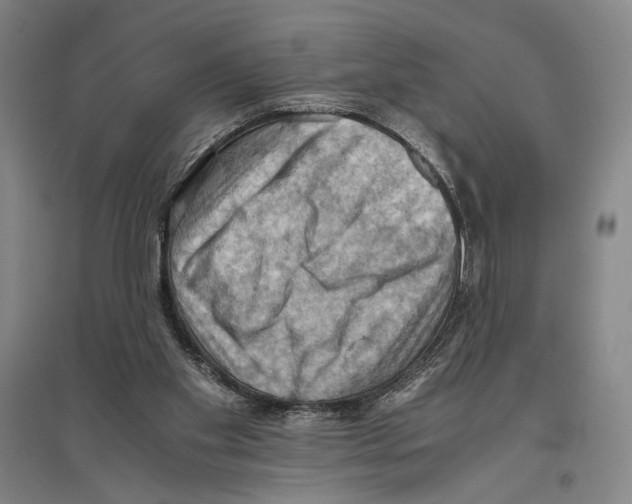 X0000096640109200803041135