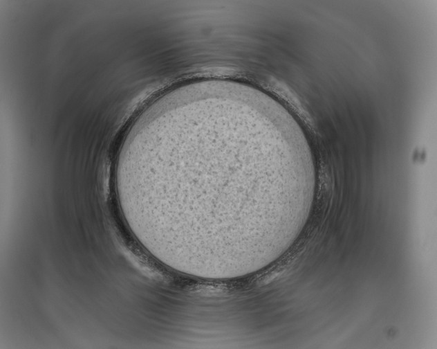 X0000096640110200803041135