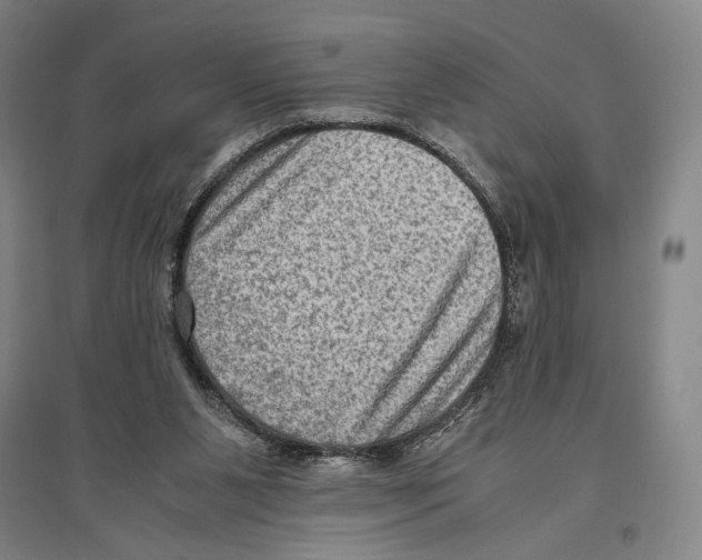 X0000096640111200803041135