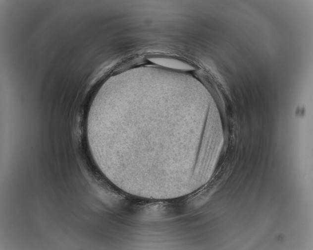 X0000096640116200803041135