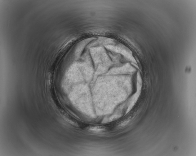 X0000096640117200803041135