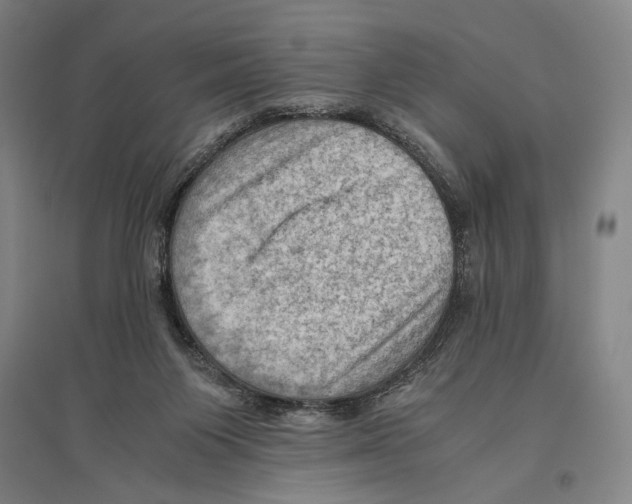 X0000096640119200803041135