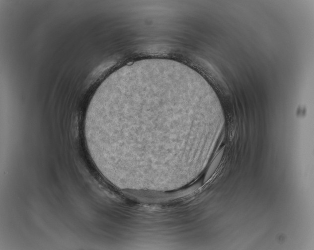 X0000096640120200803041135