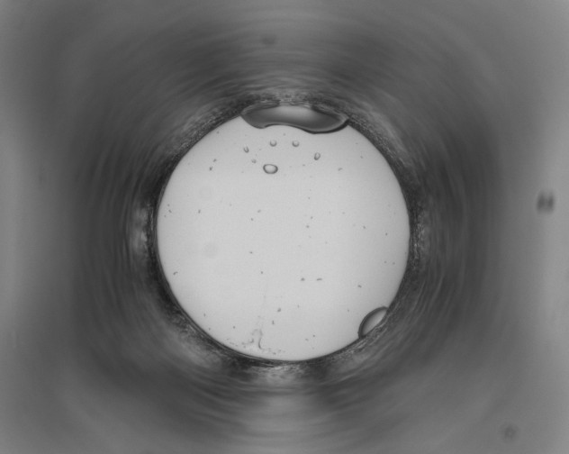 X0000096640122200803041135