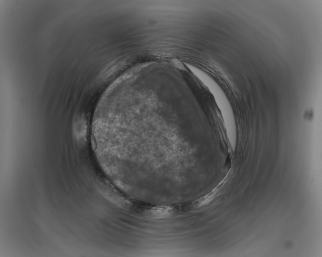 X0000096640124200803041135