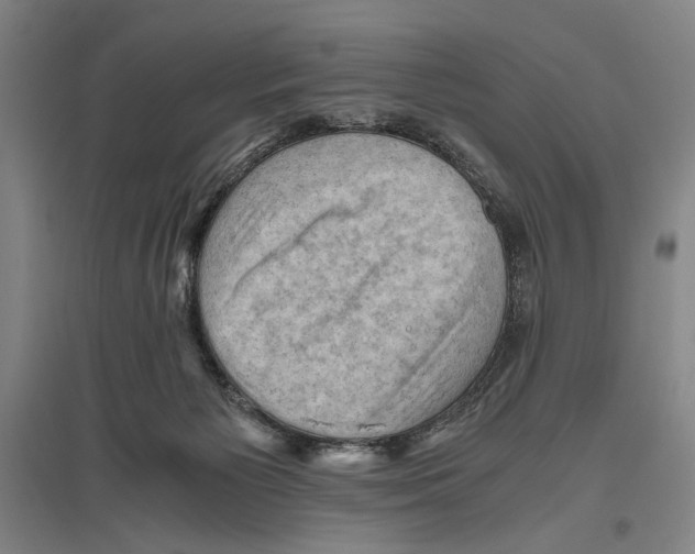 X0000096640125200803041135