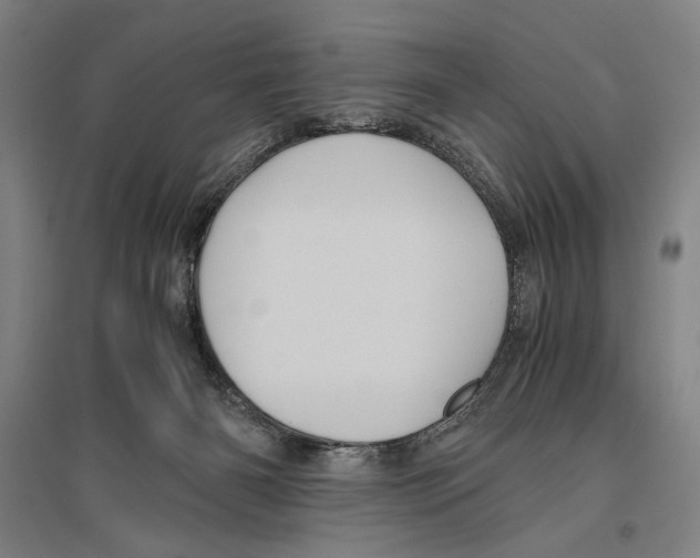 X0000096640126200803041135