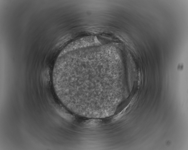 X0000096640128200803041135